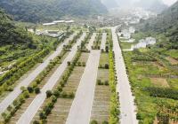安顺市抓好2023年度农村公路基础数据和电子地图更新